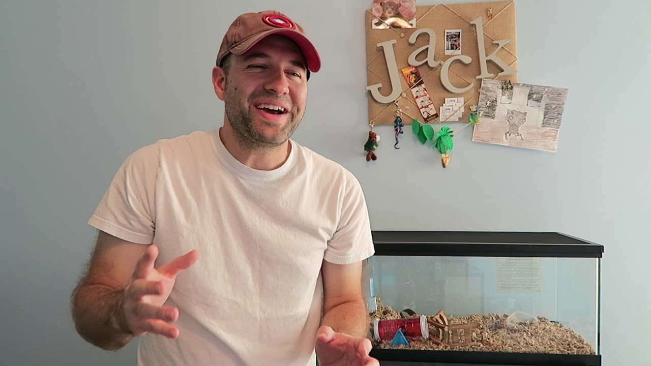 Midwest Arcade Hamster Review for Teddy Bear Syrian Hamster Vs. Basic 20 Gallon Aquarium