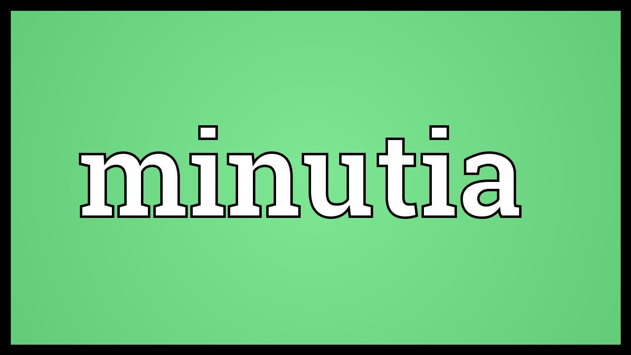 Minutia Meaning