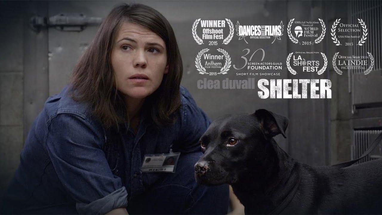 Shelter (Drama Short Film)