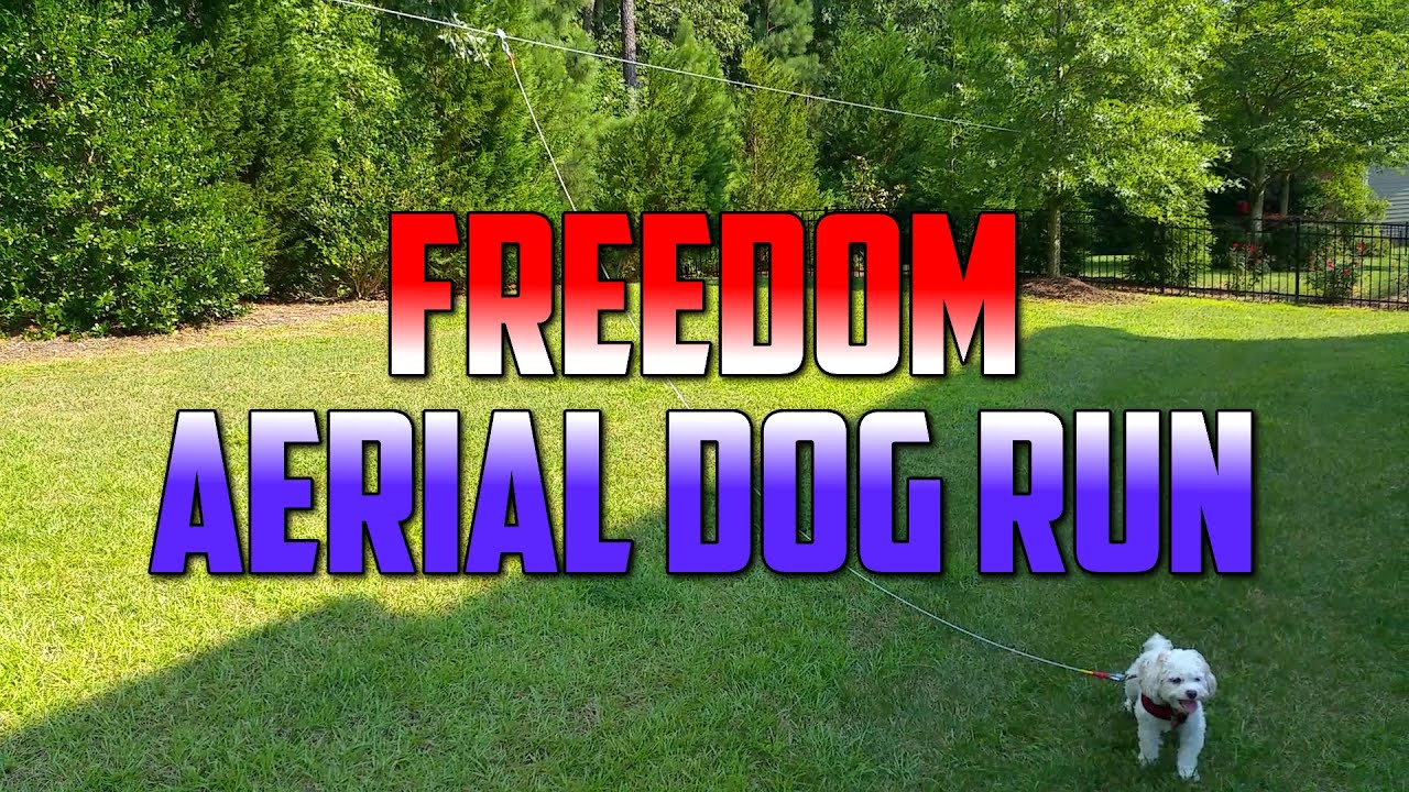 Freedom Aerial Dog Run Cable - Review, Setup and Installation