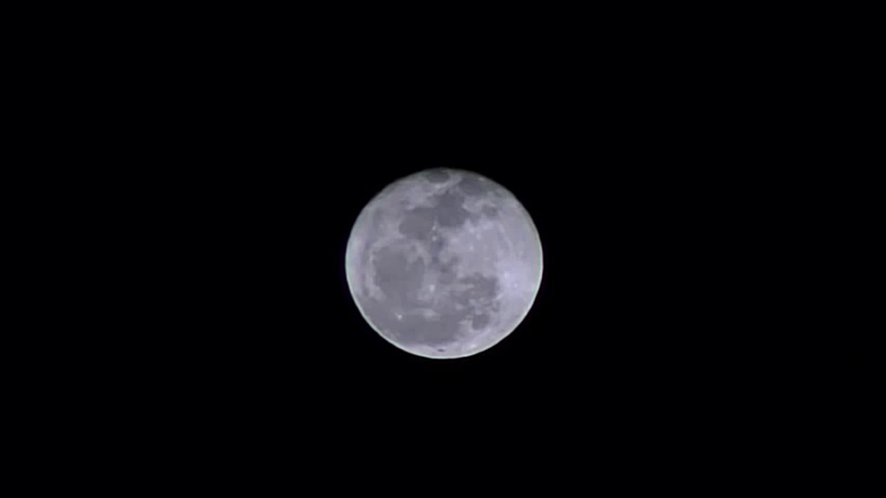 Relaxing: Cricket Sounds Under the Moon | 9 Hours for Rest
