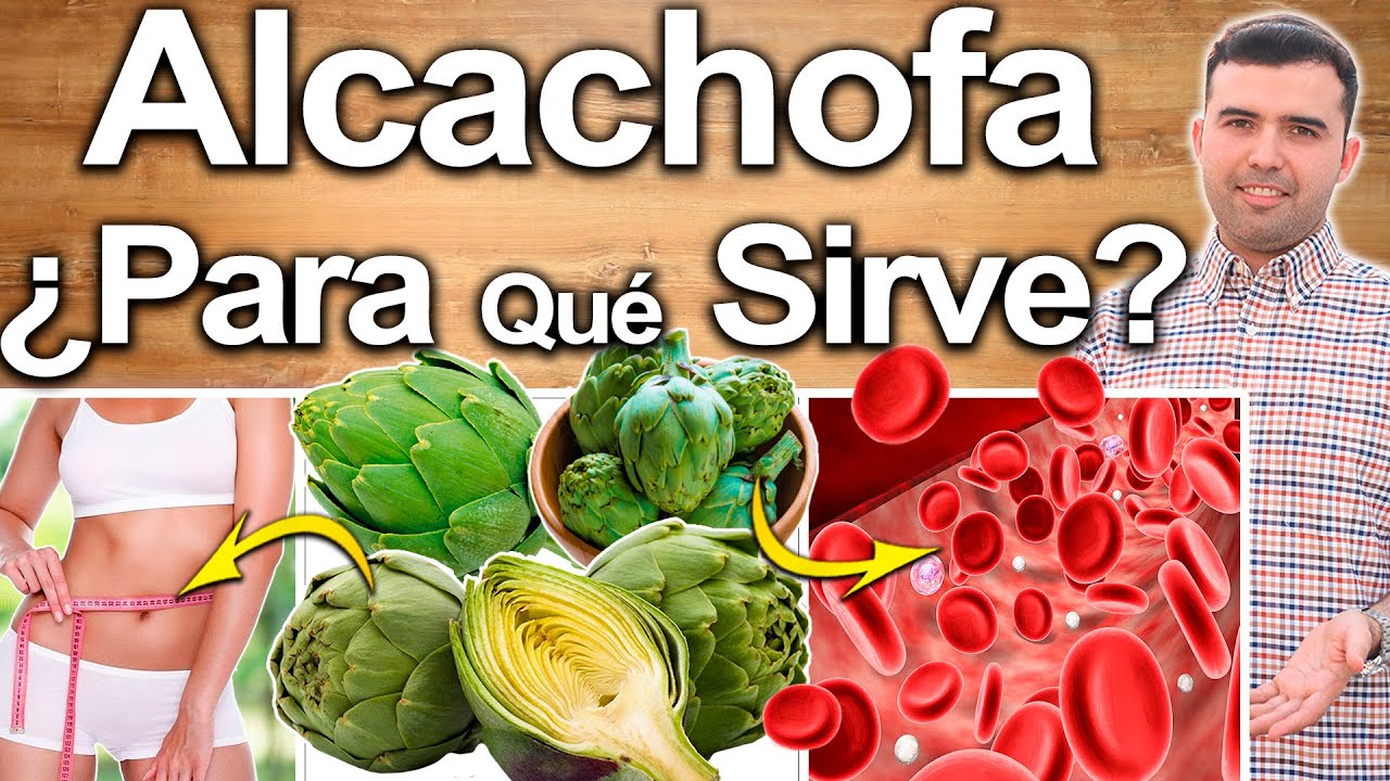 Alcachofa ¿Para Qué Sirve? - Beneficios Y Propiedades De La Alcachofa Para Tu Salud Y Belleza