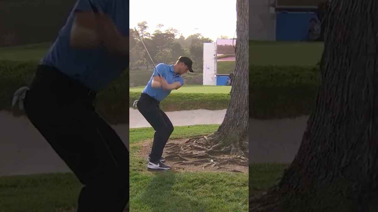 This Tree Shot By Cam Davis On 18 At Pebble Beach Is Insane 😩🏌️‍♂️🔥 #trending