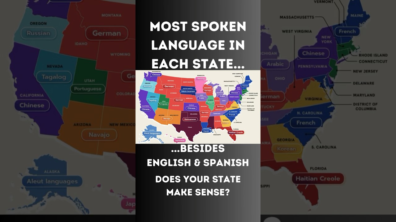 Most Spoken Language in Each State! #shorts #shortvideo #short