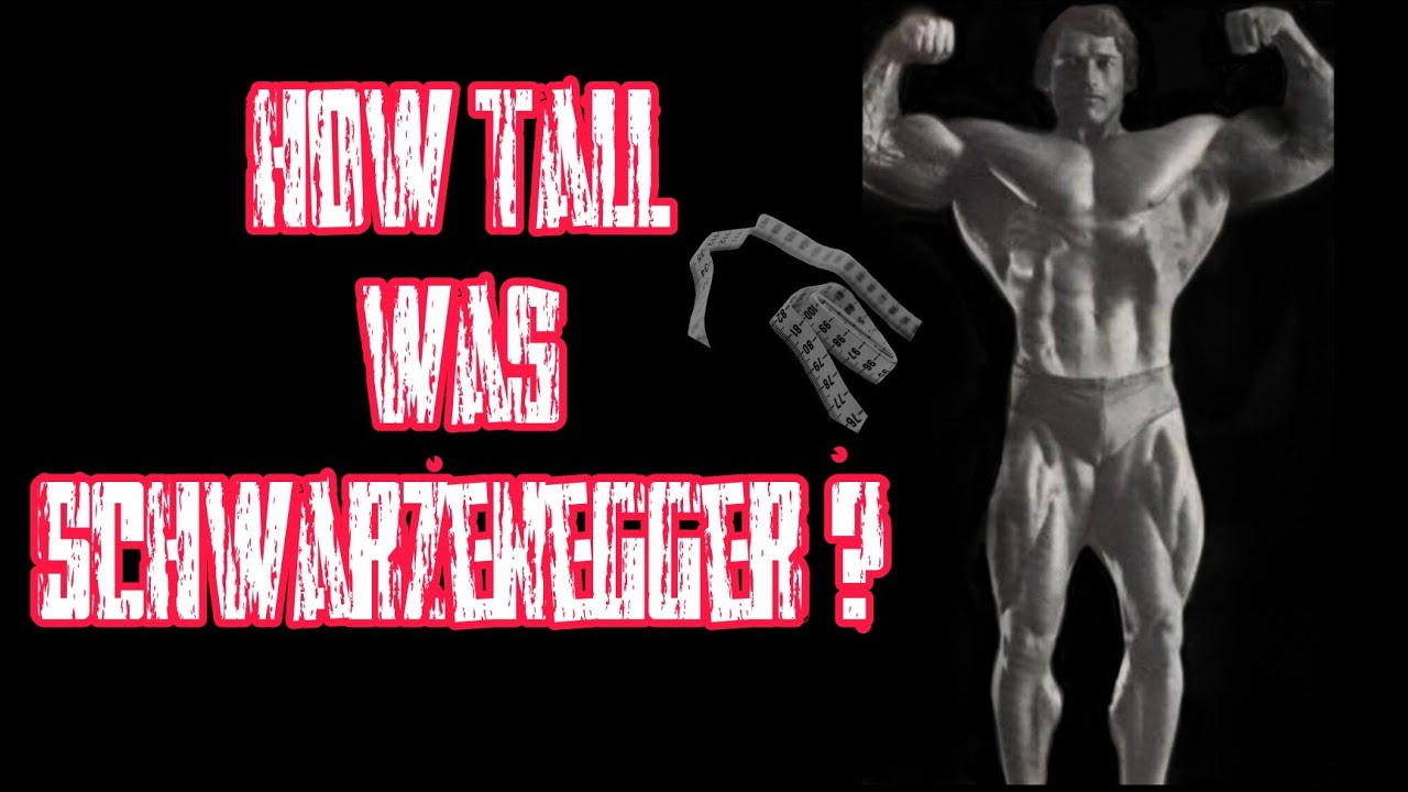 "Unveiling Arnold Schwarzenegger's Height: Fact vs. Fiction