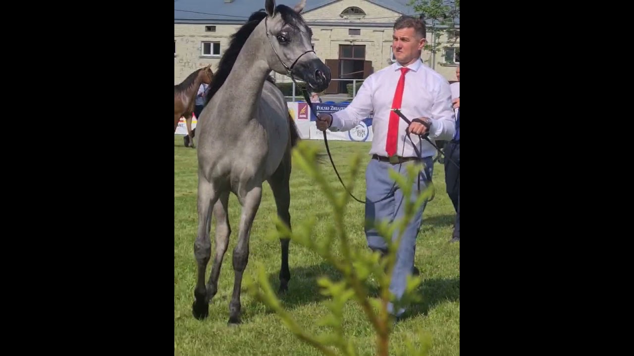 XXXI Junior Spring Show in Białka 2021 -EXFARIA ZALIA