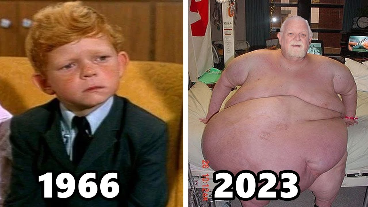 FAMILY AFFAIR (1966-1971) Cast THEN and NOW, The actors have aged horribly!!