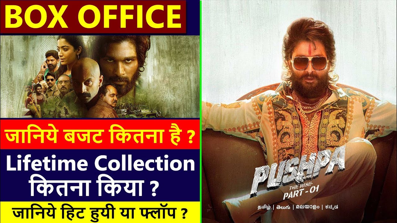 Pushpa Lifetime Worldwide Box Office Collection | Pushpa Hit or Flop | Pushpa Budget and Verdict