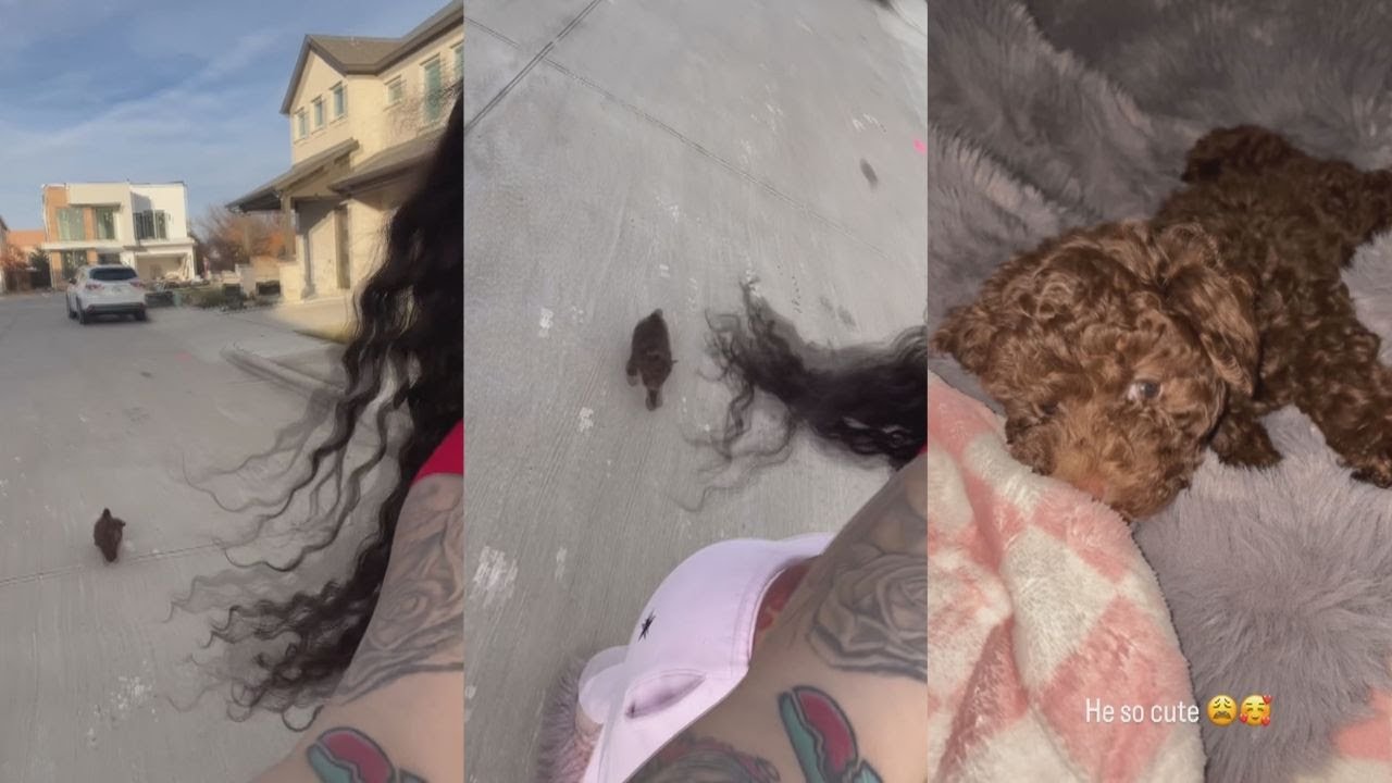 Cuban Doll Shows Off Her Dog “He So Cute” 😍😍😍