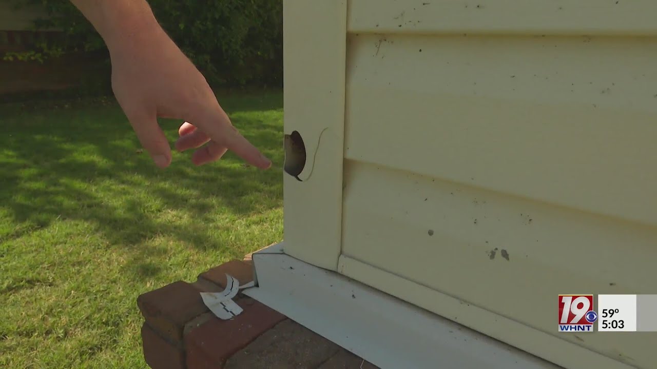 Neighbor of Stephen Perkins Home Damaged by Gunfire | Oct 11, 2023 | News 19 at 5:00 a.m.