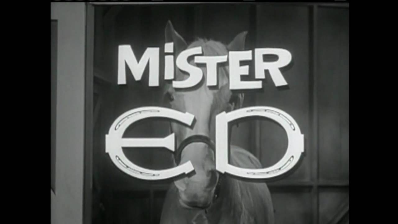 Mr. Ed Theme