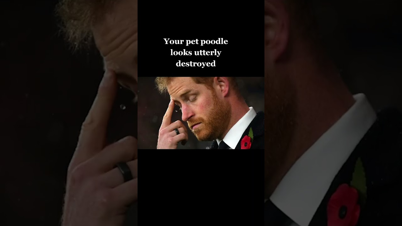 #Shorts I'm not an English rose #meghanmarkle #katemiddleton #princewilliam #princeharry #thequeen