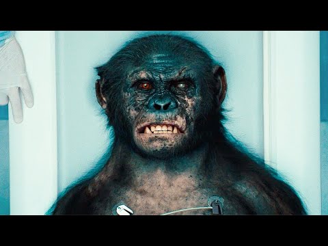 Experiment on Koba and Patient Zero - Rise of the Planet of the Apes (2011) Movie Clip HD