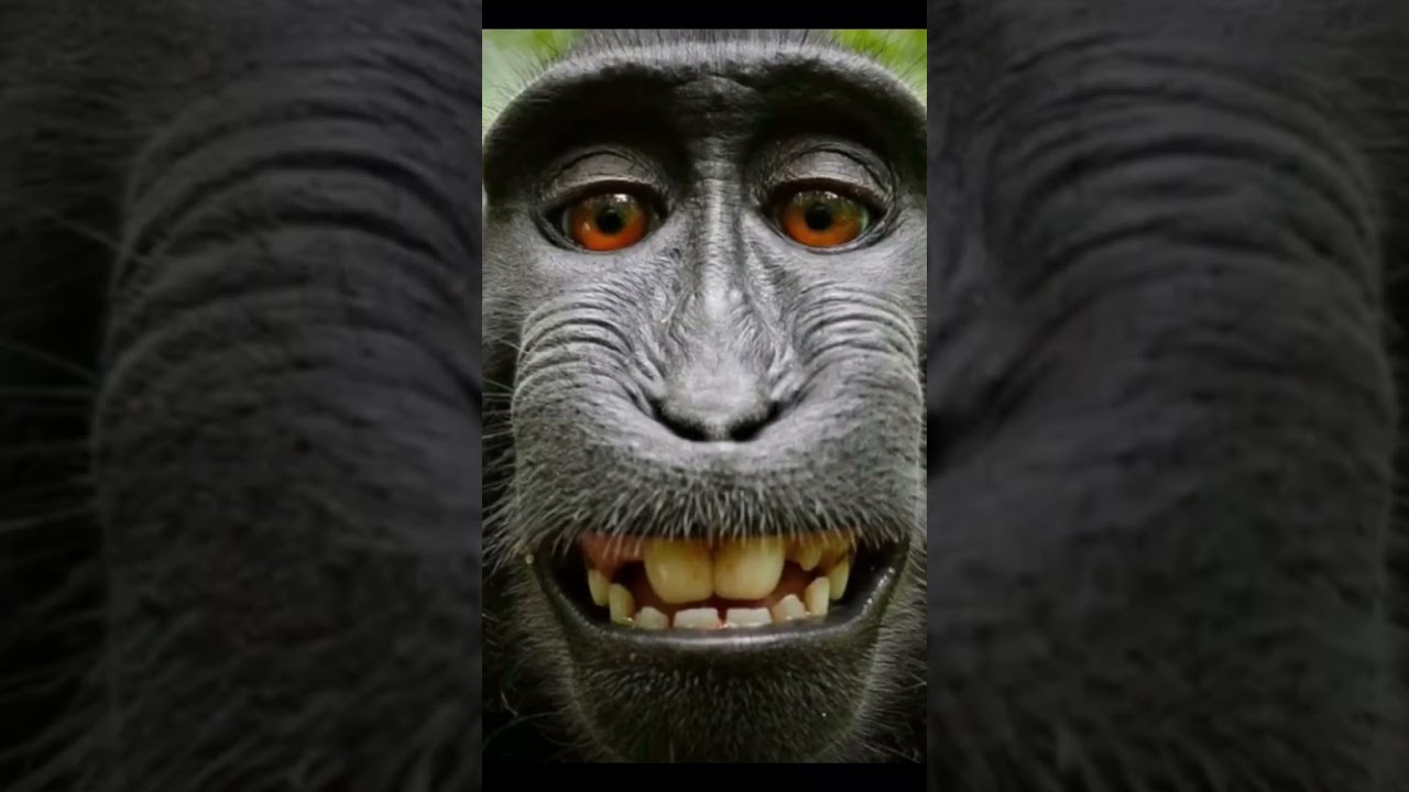 Ugly pictures in my photo