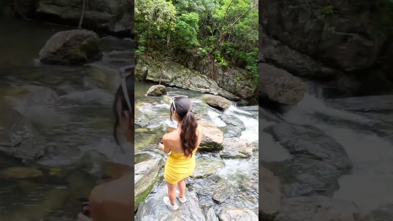 Influencers gone wild