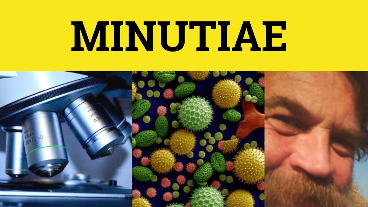🔵 Minutiae - Minutiae Meaning - Minutiae Examples - Latin in English