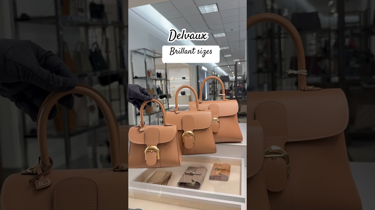 Delvaux Brillant 3 Sizes explained 💛#delvaux #luxury #sanjose #luxurybag #handmade