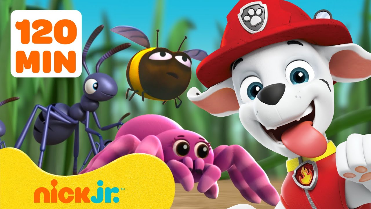 PAW Patrol Bug Rescues & Adventures! 🐝 2 Hours | Nick Jr.