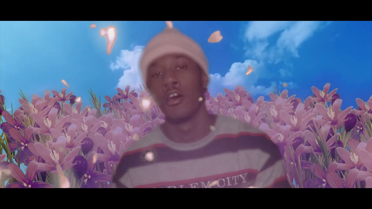 haroinfather - 🌸princess bubblegum🌸 (Official Music Video)