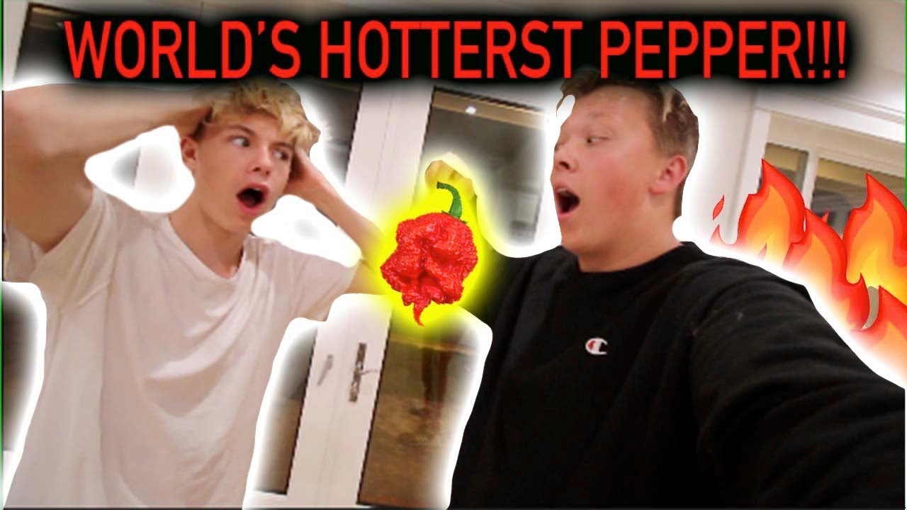 EATING THE WORLDS HOTTEST PEPPER!!!! (puke warning)