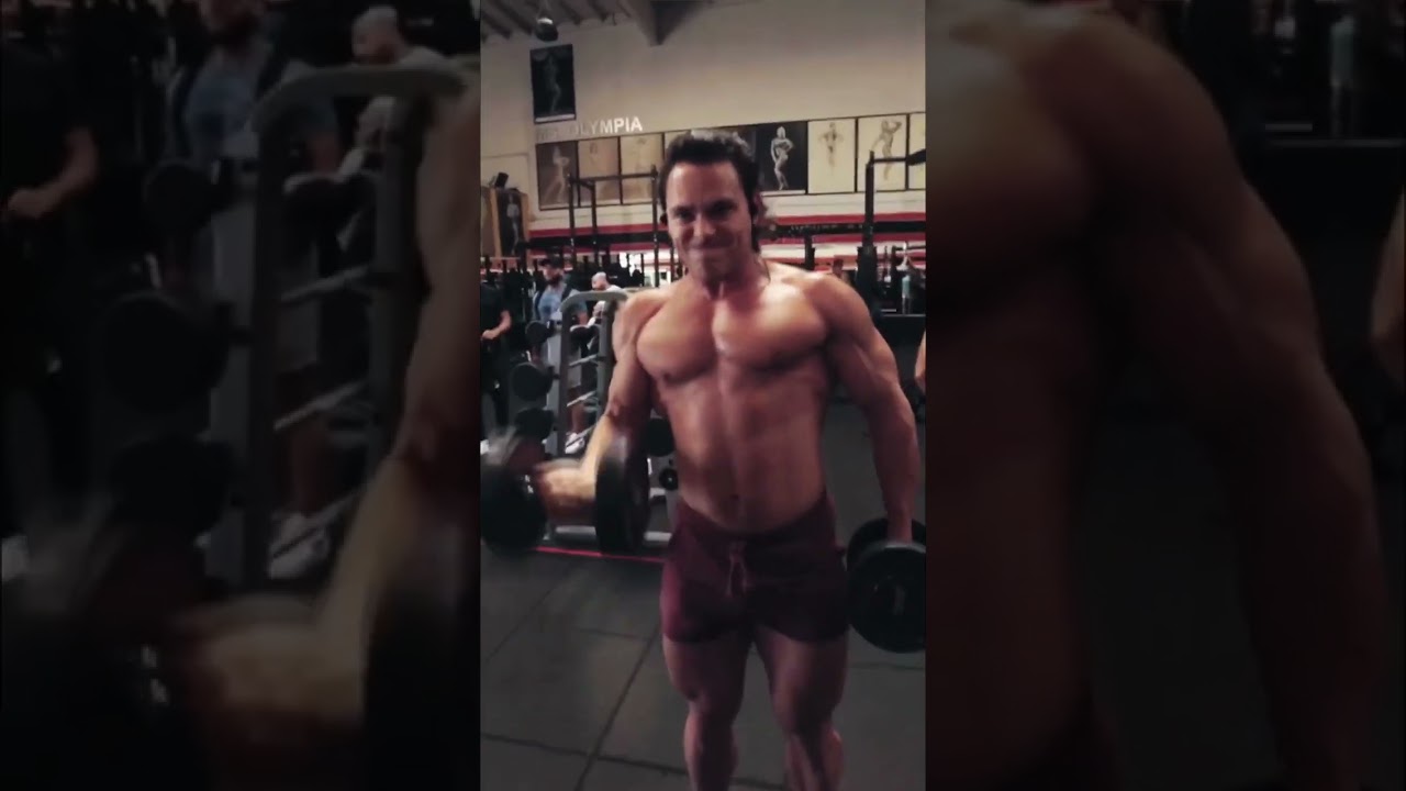 Golds Gym Venice Curls - Zack Palmisano
