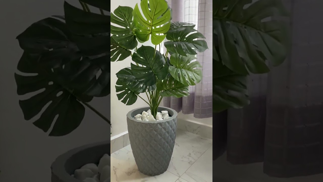 Planta Costela De Adão Artifical + Vaso Polietileno Completo