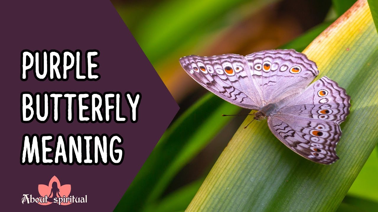 Purple Butterfly Meaning