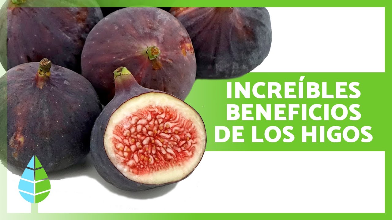 6 BENEFICIOS de los HIGOS ✅ (Propiedades Medicinales, Para Qué Sirven y Cómo Comerlos)