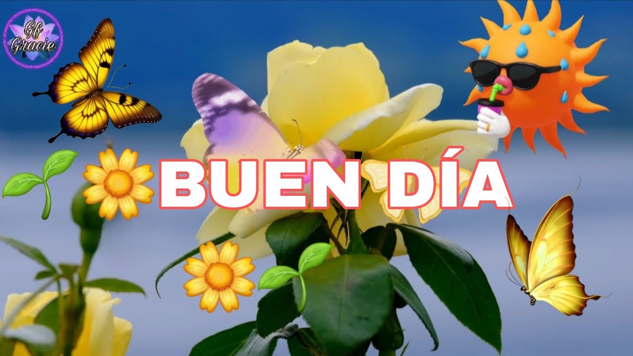 🌹❤️FELIZ DOMINGO 🌱 🪷 😘