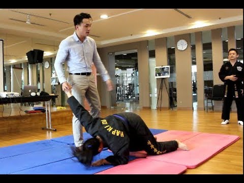 This is HAPKIDO