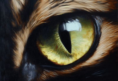 cat eye