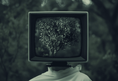 einthusan tv