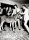 donkey punch