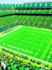 green gridiron