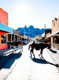 oatman arizona