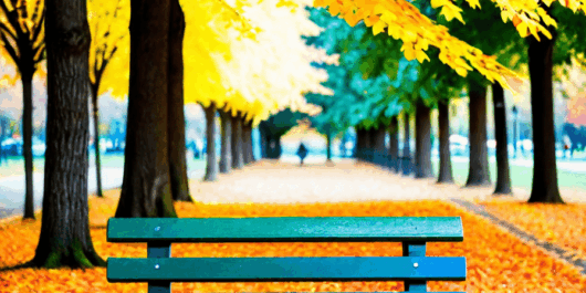 park bench
