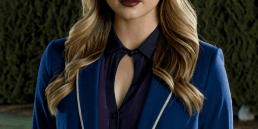 pretty little liars the perfectionists