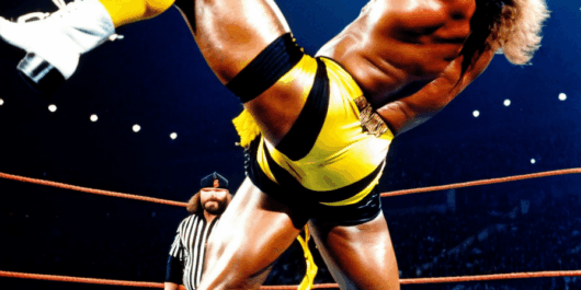randy macho man savage