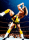 randy macho man savage