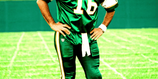 vinny testaverde