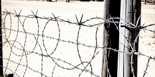 barbed wire