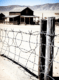 barbed wire