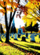 calvary cemetery