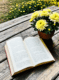 chrysanthemum book