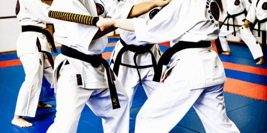 hapkido