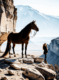 mustang with horse