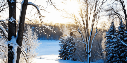 st cloud mn weather