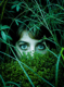 unnerving